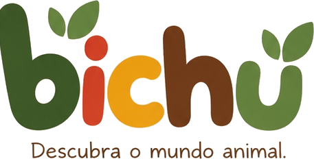 bichu — Descubra o mundo animal.